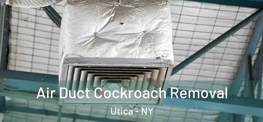  Air Duct Cockroach Removal Utica - NY