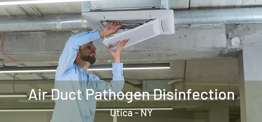  Air Duct Pathogen Disinfection Utica - NY