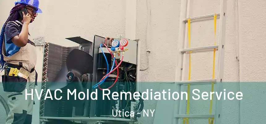  HVAC Mold Remediation Service Utica - NY