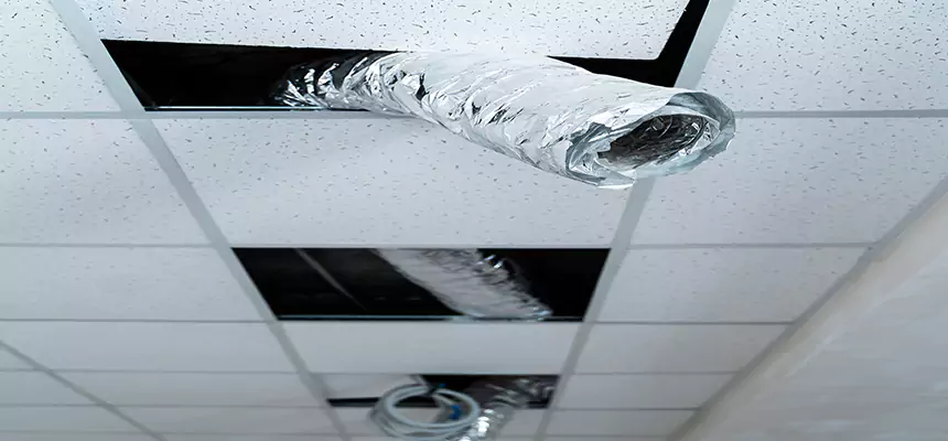 Our Air Duct Pet Hair Removal Services in Utica, NY