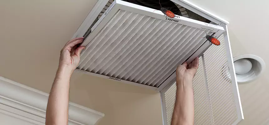 Our Insect Removal from Air Ducts Services in Utica, NY