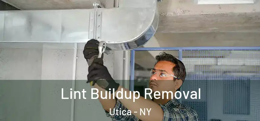  Lint Buildup Removal Utica - NY