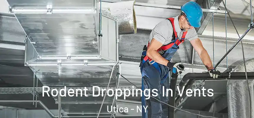  Rodent Droppings In Vents Utica - NY