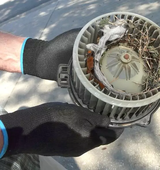 About Air Duct Mice Removal in Utica, NY