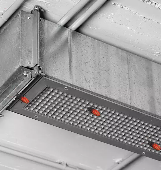 Affordable Insect Removal from Air Ducts in Utica, NY